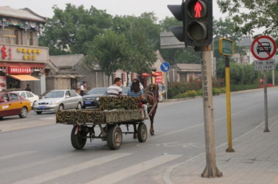 Kon na ulicy w Pekinie